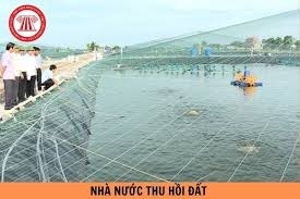 Hà Nội: Mức bồi thường thiệt hại với vật nuôi là thủy sản hoặc vật nuôi khác mà không thể di chuyển khi thu hồi đất từ 25/7/2025