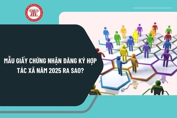 Mẫu giấy chứng nhận đăng ký hợp tác xã năm 2025 ra sao? Tải mẫu giấy chứng nhận đăng ký hợp tác xã năm 2025?