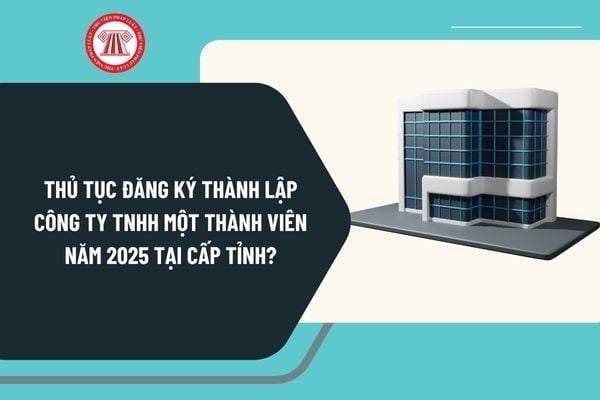 Thủ tục đăng ký thành lập công ty TNHH một thành viên năm 2025 tại cấp tỉnh thực hiện như thế nào?