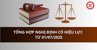 Tổng hợp Nghị định được ban hành trong năm 2025
